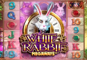 White Rabbit