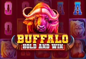 Buffalo Hold and Win Demo verze