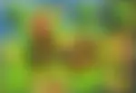 Toin Of Gold od Green Jade Games