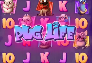 Pug Life Demo verze