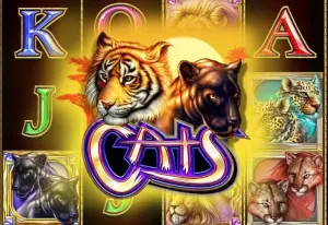 Cats Demo verze