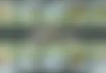Top Secret od Inbet Games