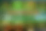 Emperor Panda od RTG Slots
