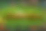 Chang Thai od SimplePlay