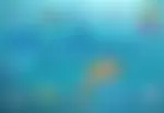 Tropicana od Spigo