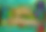 Wild Blooms od Synot Games